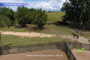 Criado em galpão-Os Serranos [VDownloader].00_04_50_18.Quadro058_13ca059374799d1f2395f2304bd8f07fc546b58f.jpg